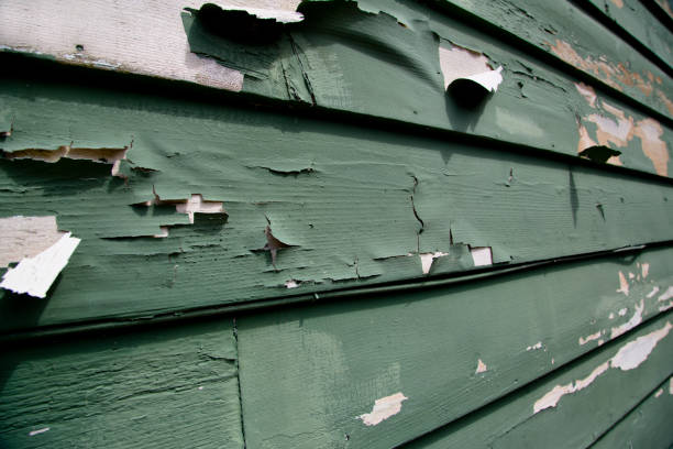 Best Storm Damage Siding Repair  in Morristown, NJ