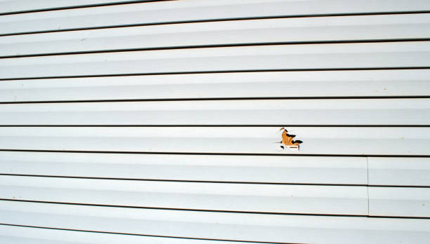 Best Wood Siding Installation  in Morristown, NJ