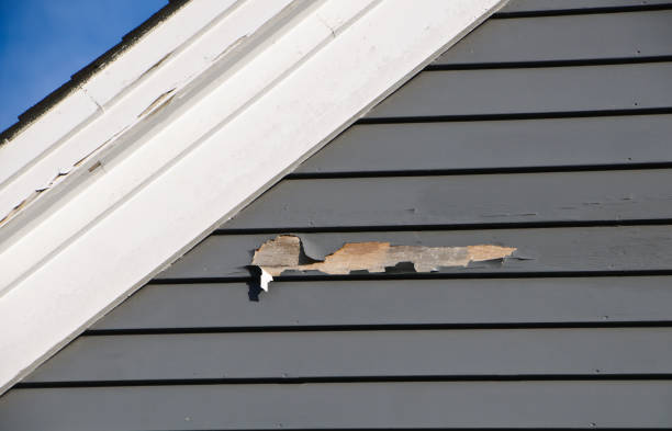 Affordable siding repair and maintenance services in Morristown, NJ